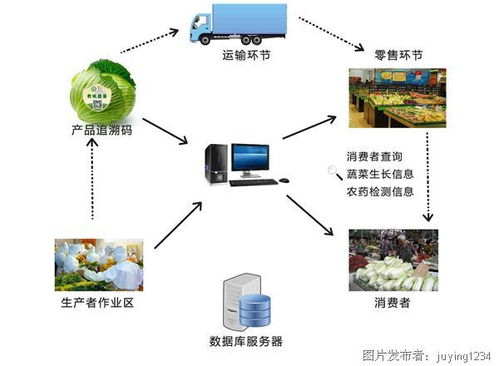農(nóng)業(yè)物聯(lián)網(wǎng)的功能及應(yīng)用 開啟智能農(nóng)業(yè)管理新時(shí)代