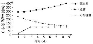 智能溫室的現(xiàn)代化無土栽培技術 高效生產(chǎn)之道