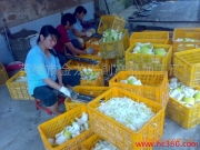 英德市金龍農(nóng)副產(chǎn)品加工廠——廠房相冊掠影